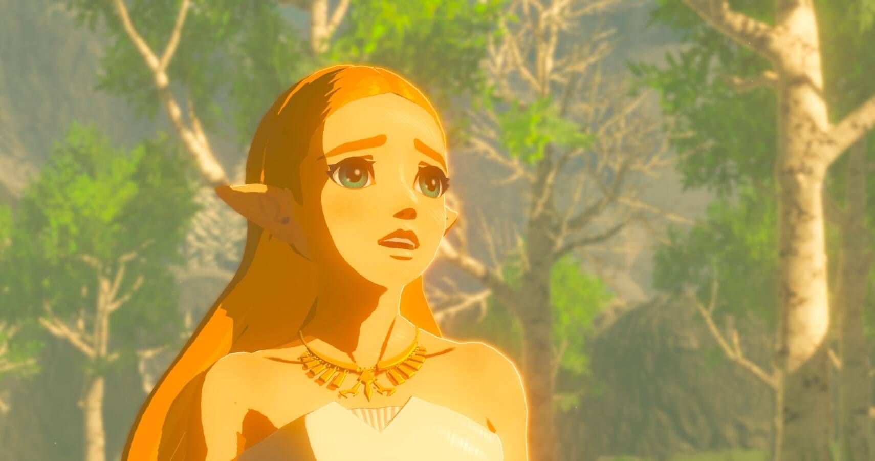 breath of the wild access memory pictures on camera