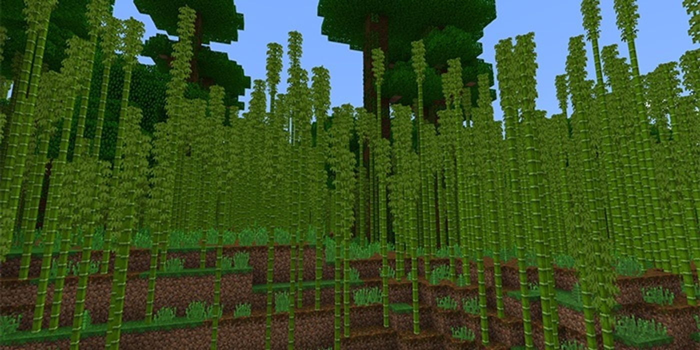 Minecraft Bamboo Forest Cropped