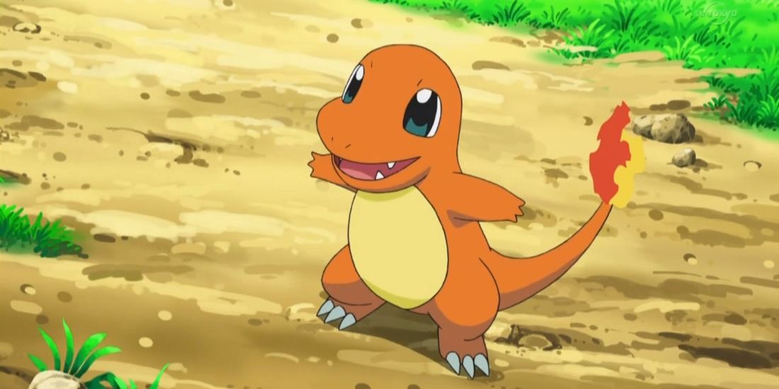 Charmander looking excitedly at its trainer in the Pokemon Anime