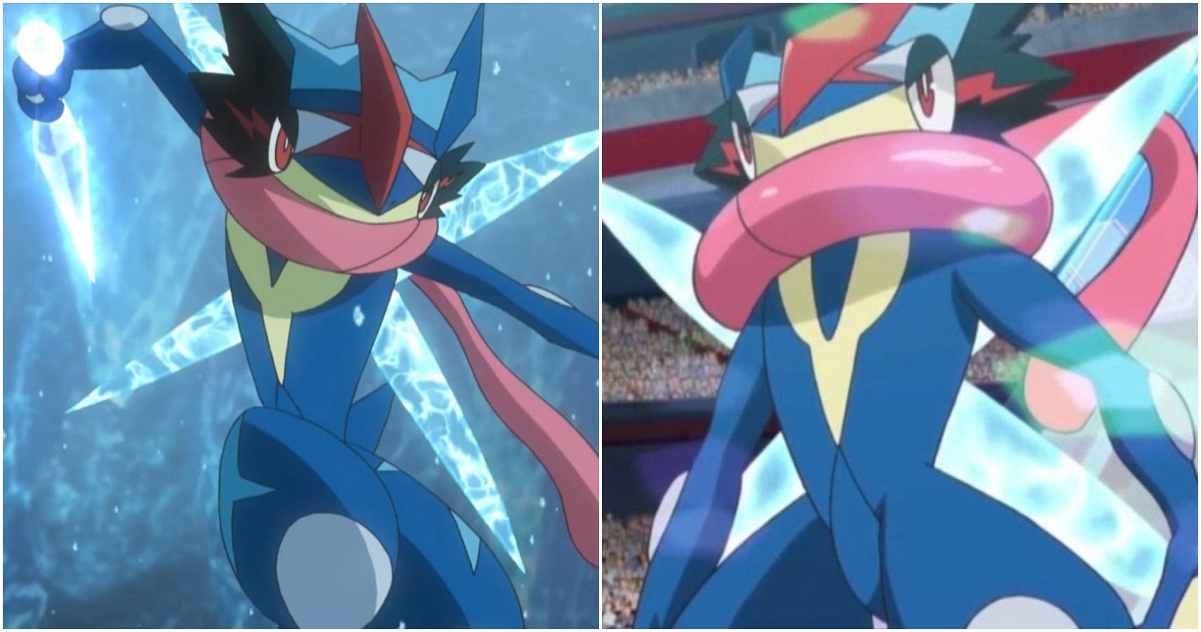 Shiny Ash-Greninja fans