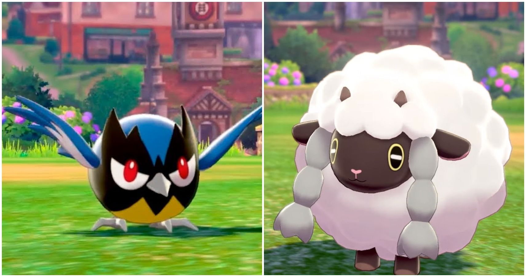 Shiny Hoenn Starter Pokémon (Pokemon Sword & Shield)