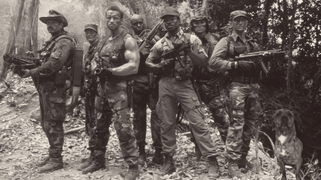 Arnold Schwarzenegger Arrives In Predator Hunting Grounds