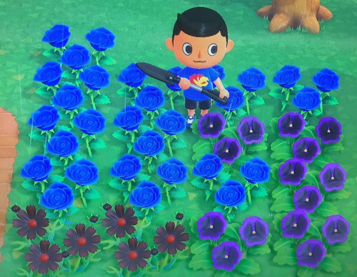 Animal Crossing: The 5 Hardest Flowers to Crossbreed (& The 5 Easiest)