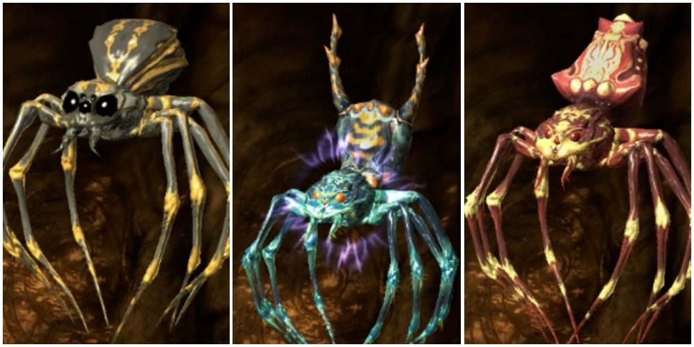 Skyrim Three Different Spider Scrolls Side By Side