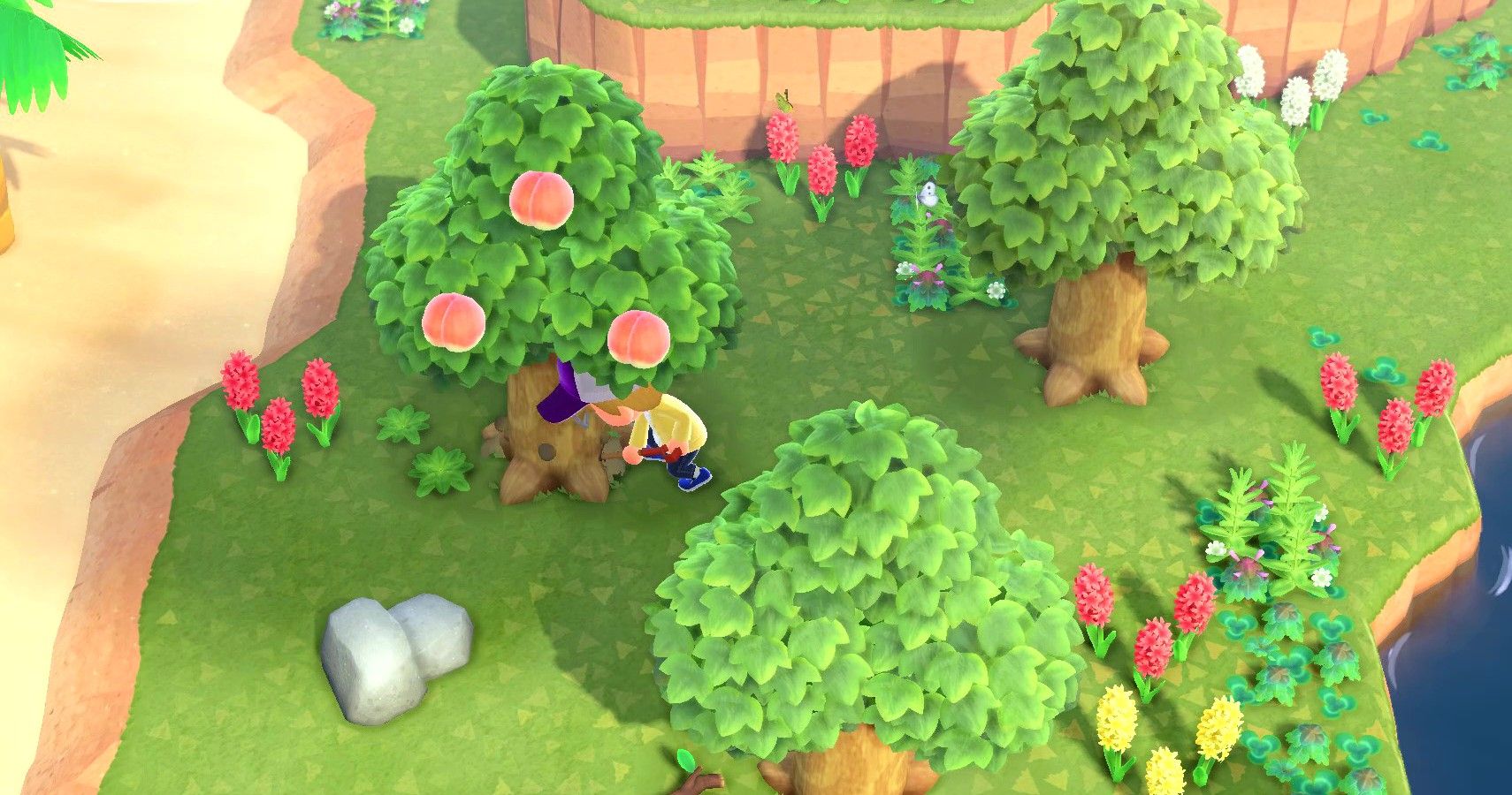 Animal Crossing: New Horizons - Everything To Know About Trees