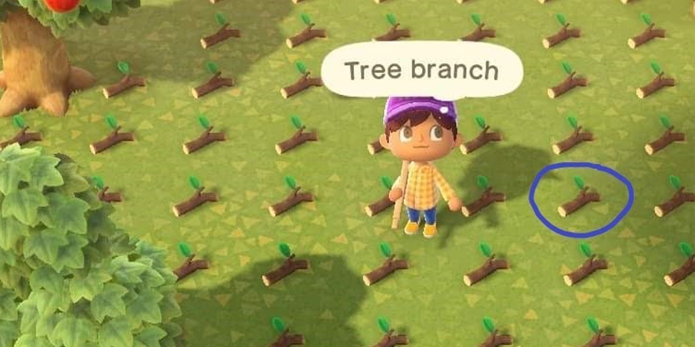 Animal Crossing 10 Things You Should Do Every Day You Log In