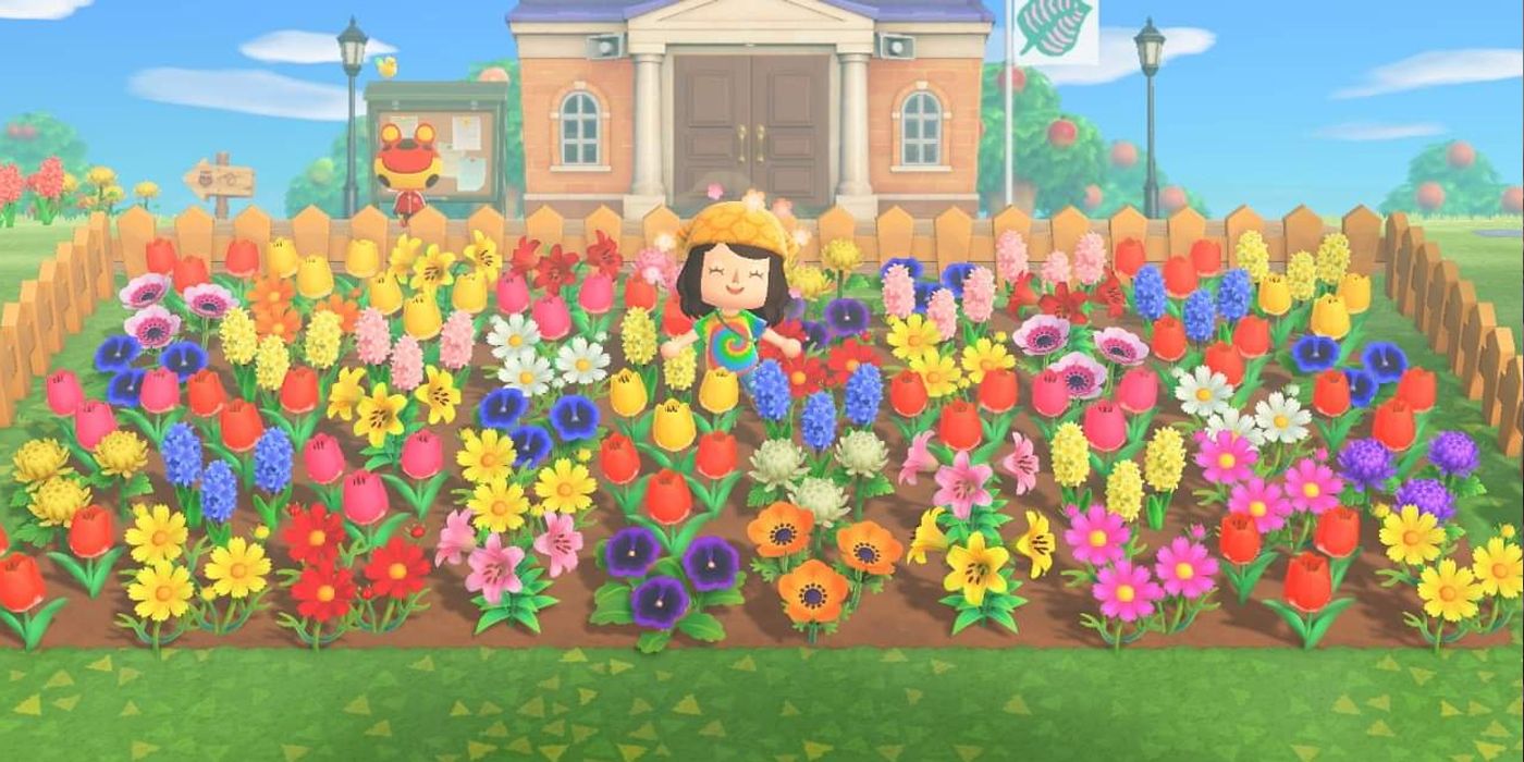 Animal Crossing New Horizons 5 Ways To Decorate Your Island (& 5