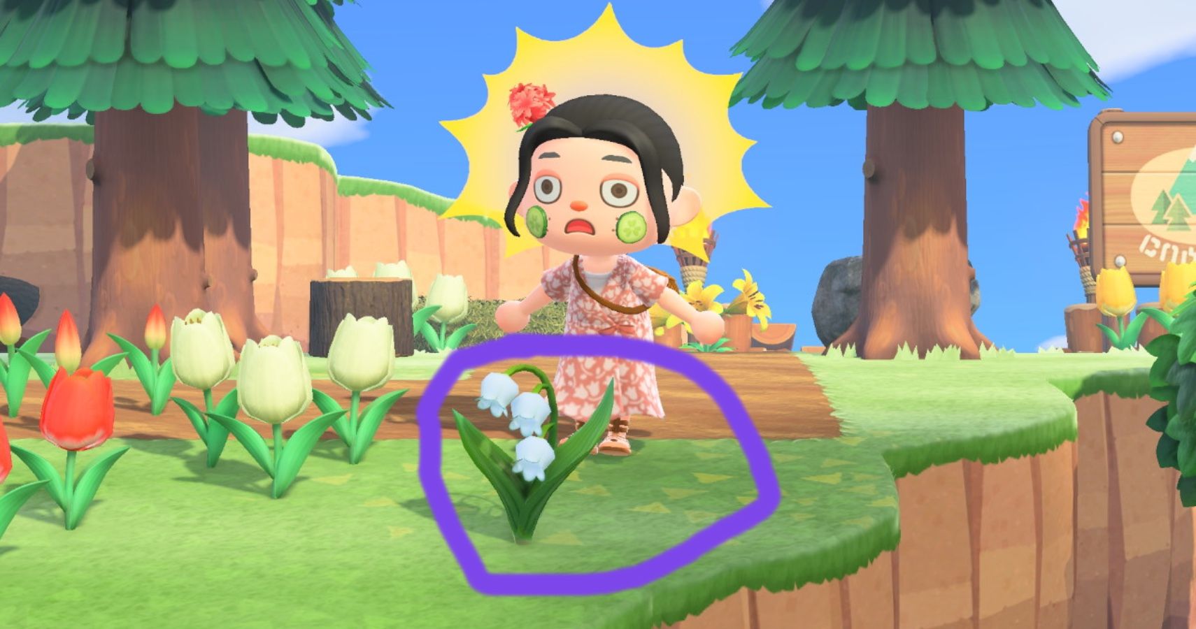 Player with Lilly of the Valley flower from Animal Crossing.