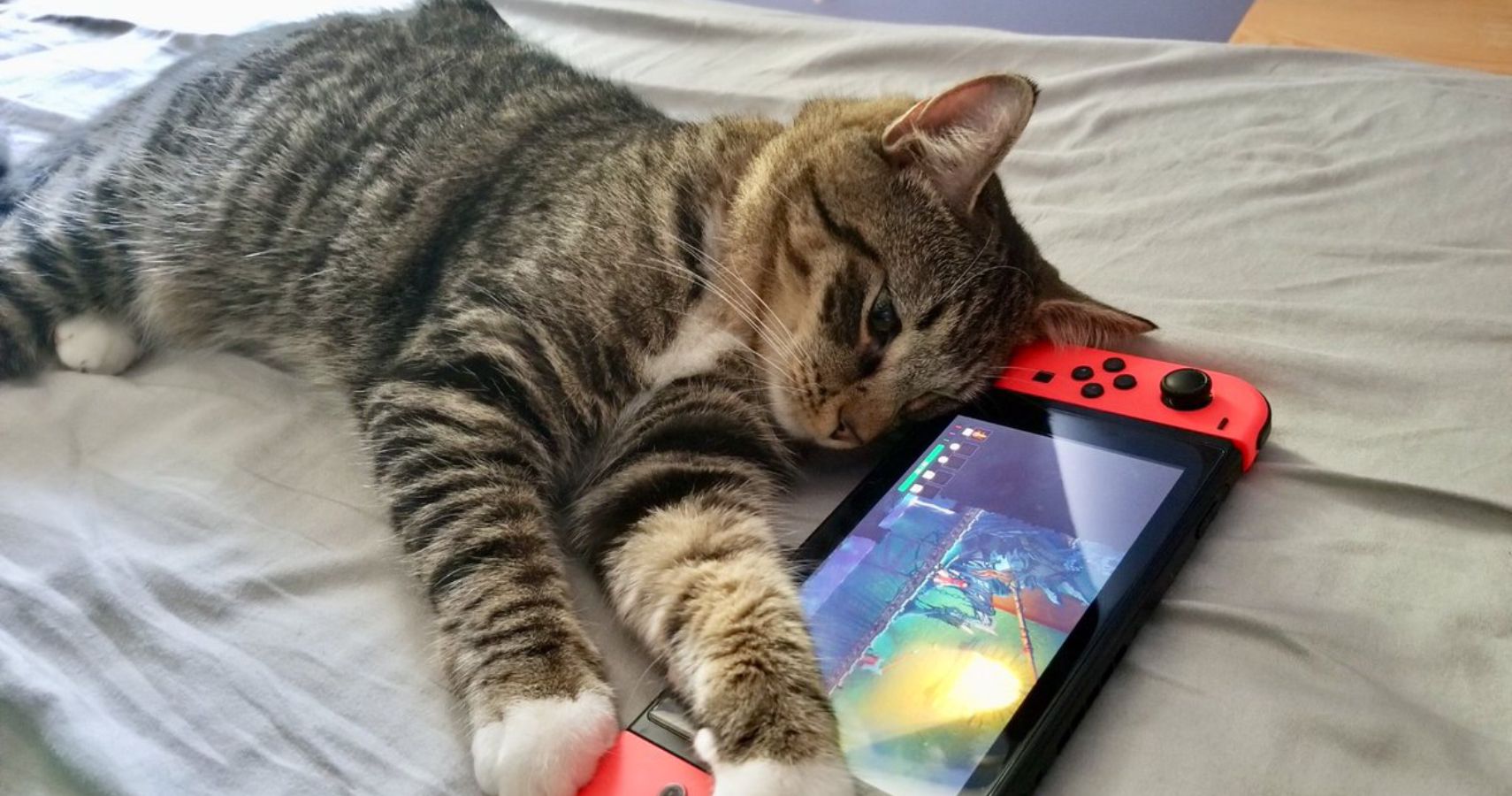 cats playing games
