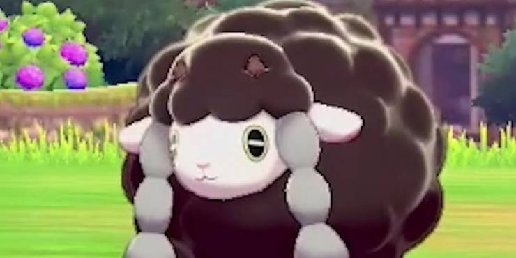 Pokemon Sword Shield 10 Things About Wooloo You Missed