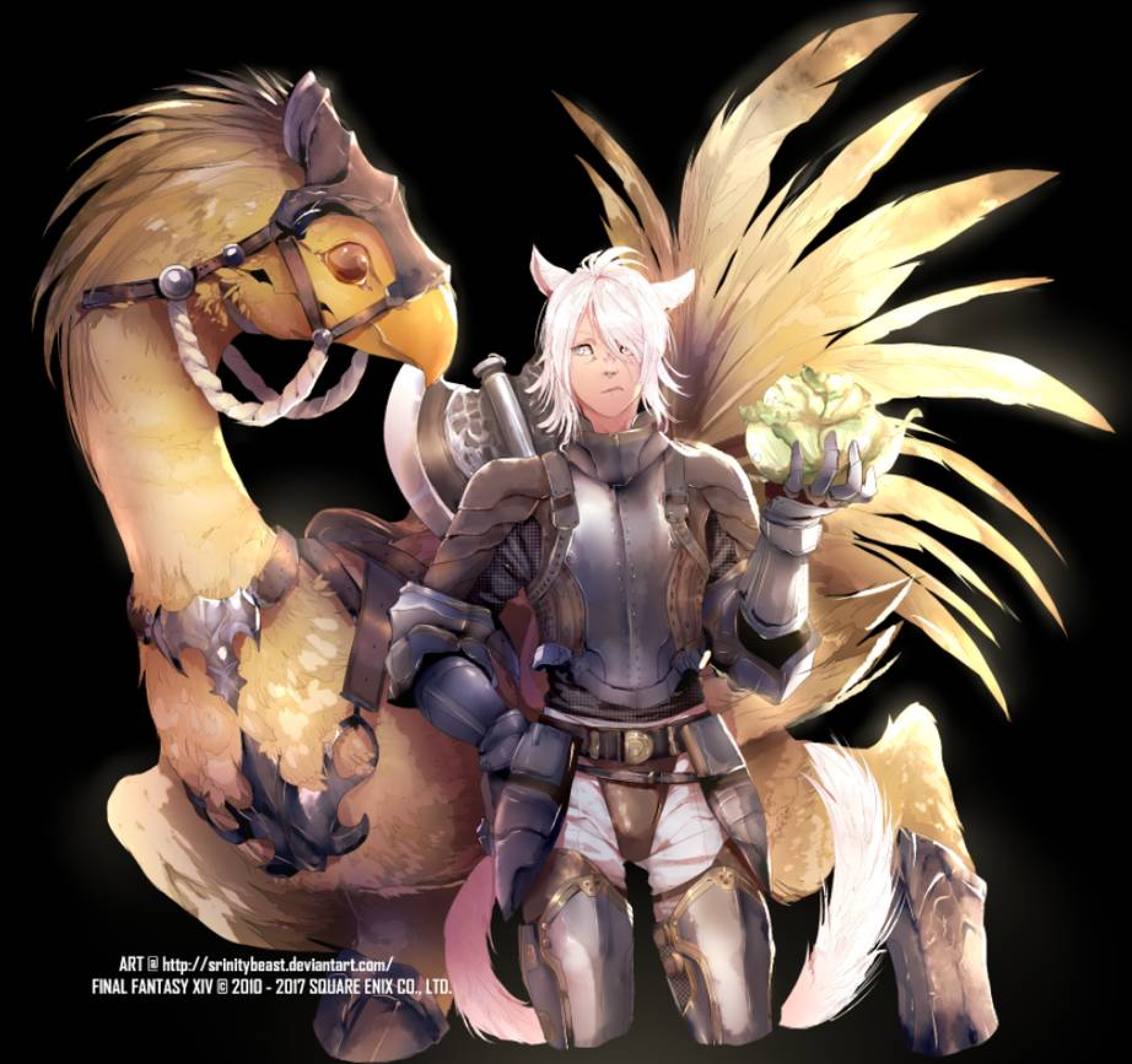 Final Fantasy Xiv 10 Pieces Of Miqote Fan Art