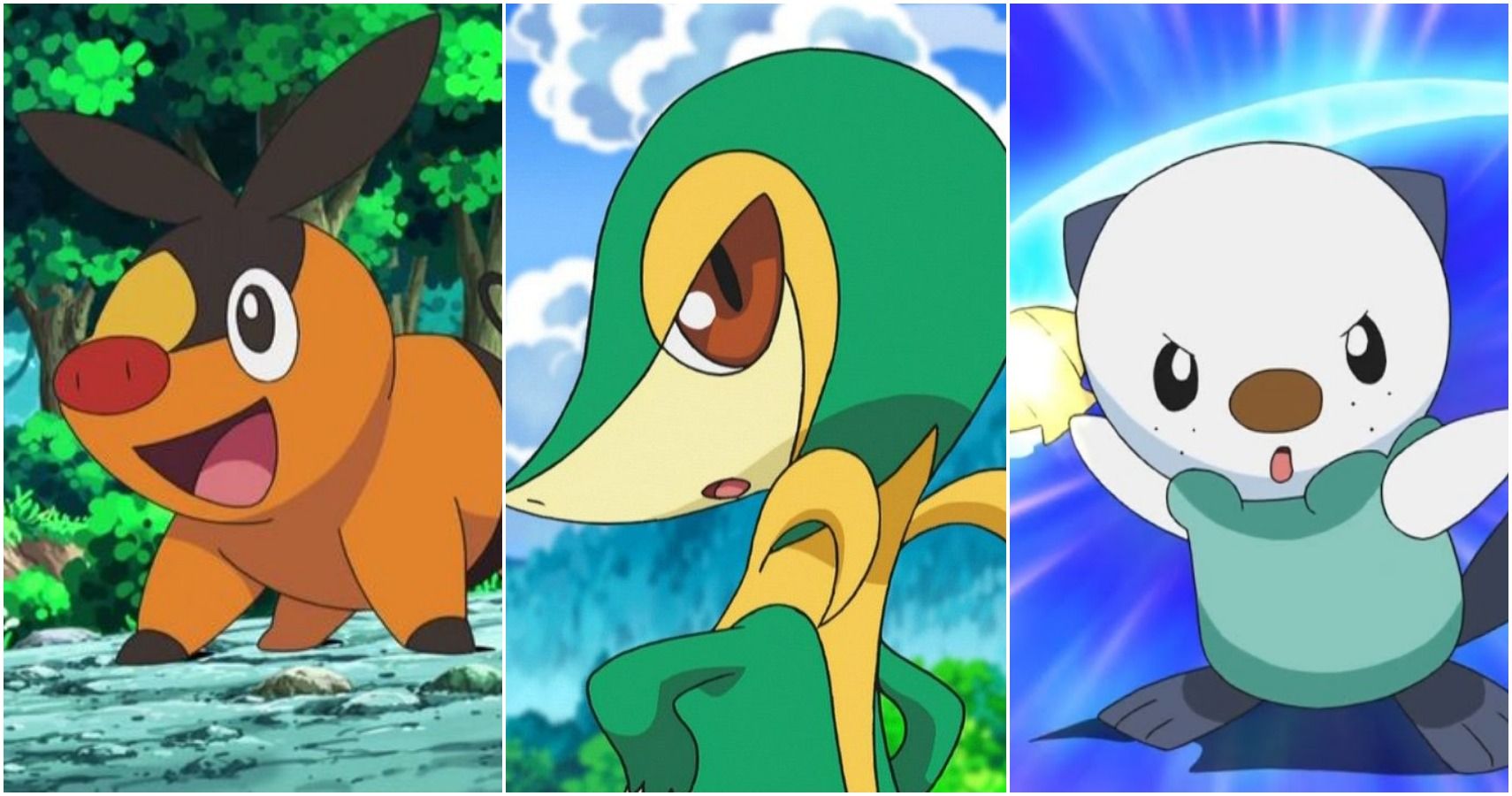 Pokemon Unova Starters 22