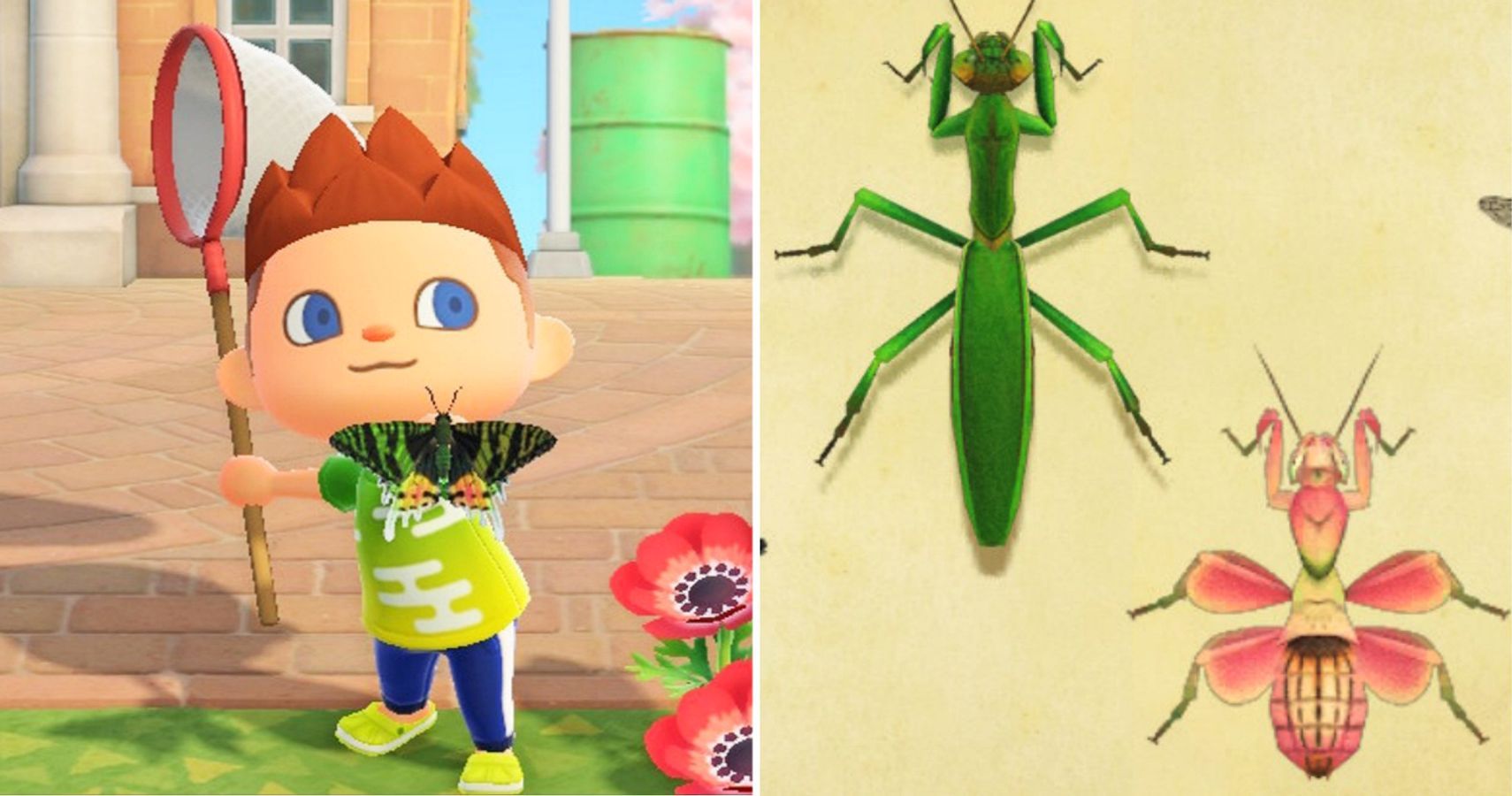 Animal Crossing: 5 Rarest Bugs (& The 5 Most Common)