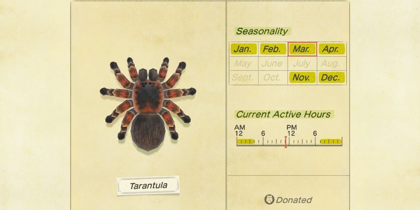 Animal Crossing 5 Rarest Bugs (& The 5 Most Common)