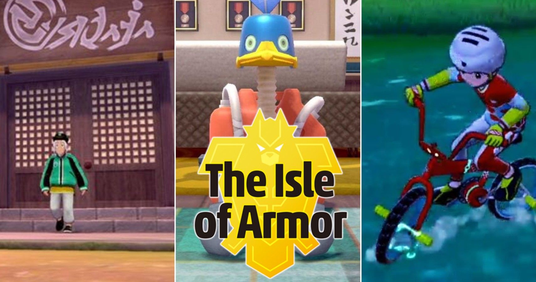 Pokemon Sword / Shield: the Isle of Armor Custom Case 