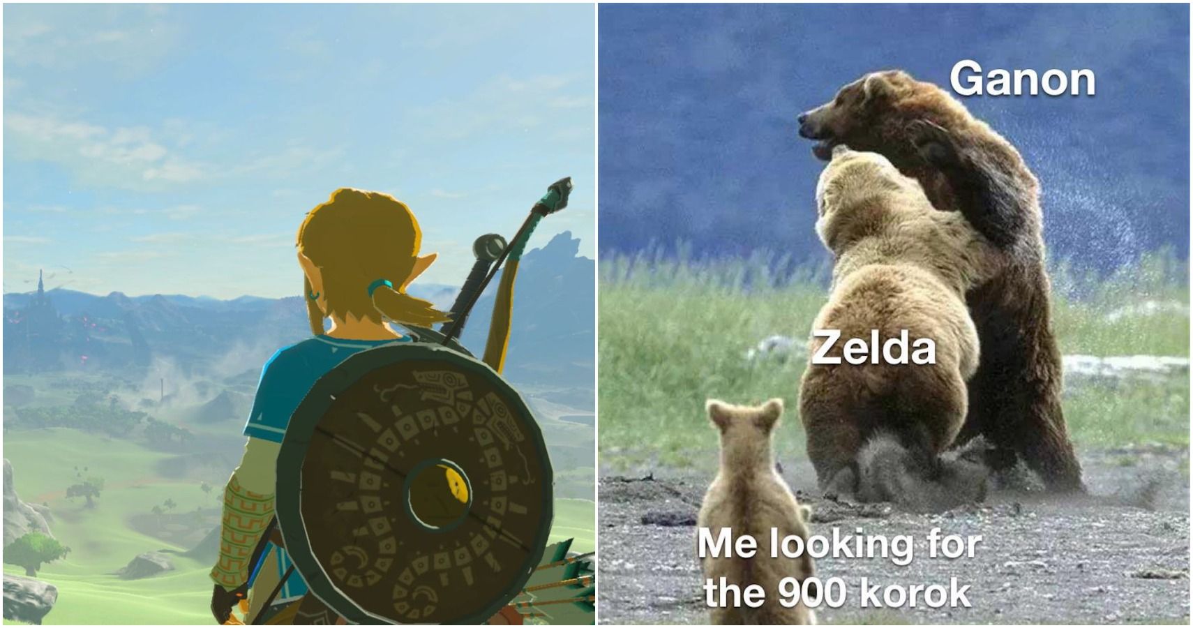 The Legend Of Zelda: 10 Breath Of The Wild Link Memes That Are Too