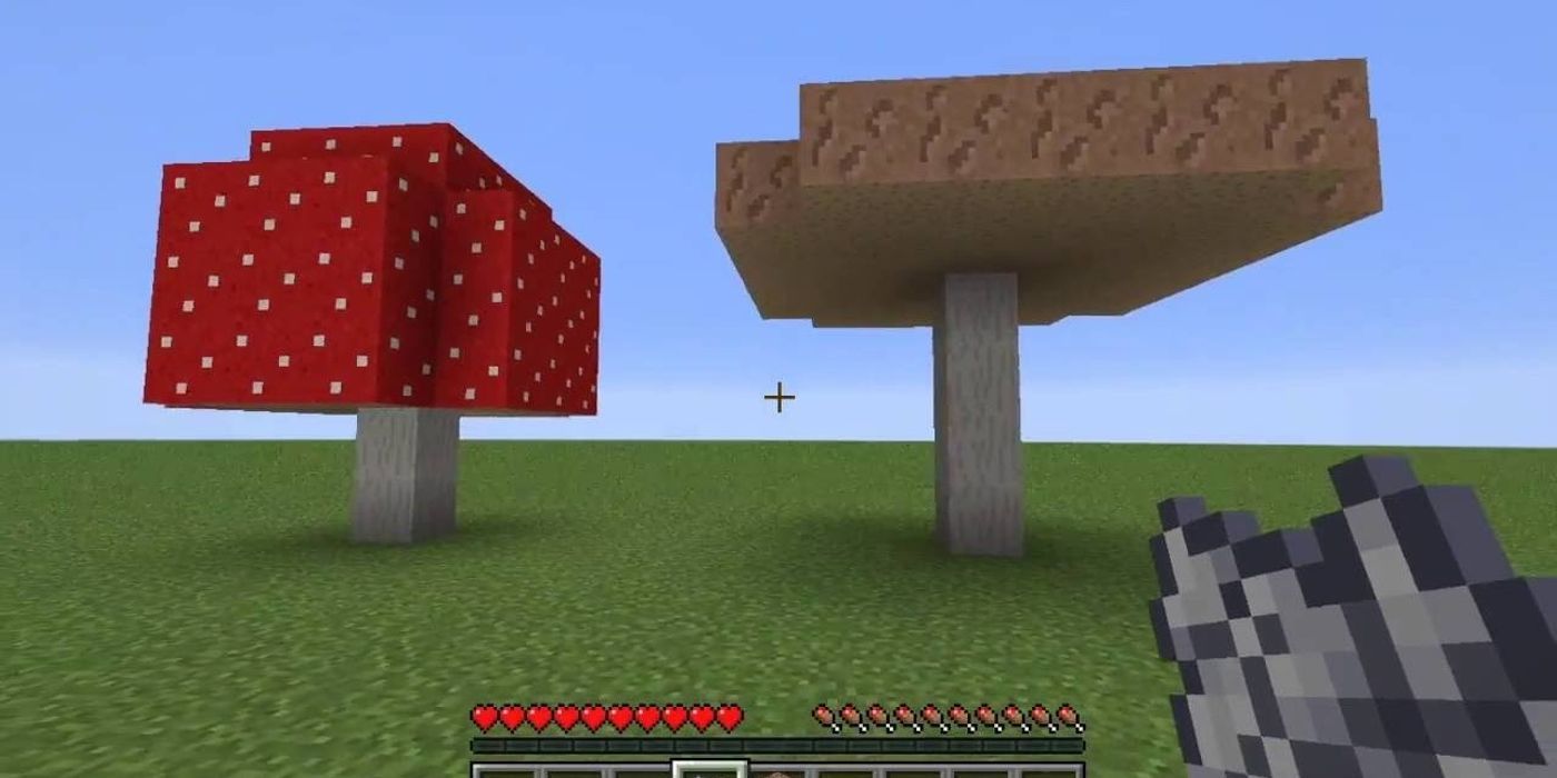 Грибосвет майнкрафт. Гриб в Майне. Minecraft giant Mushroom. Brown Mushroom Minecraft. Текстура гриба в майнкрафт.
