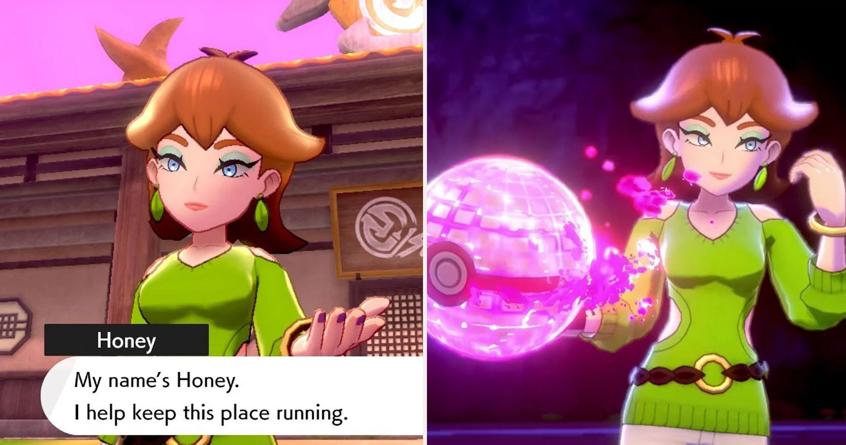 Pokémon Sword & Shield: The Isle Of Armor: 10 Things You Missed About Honey