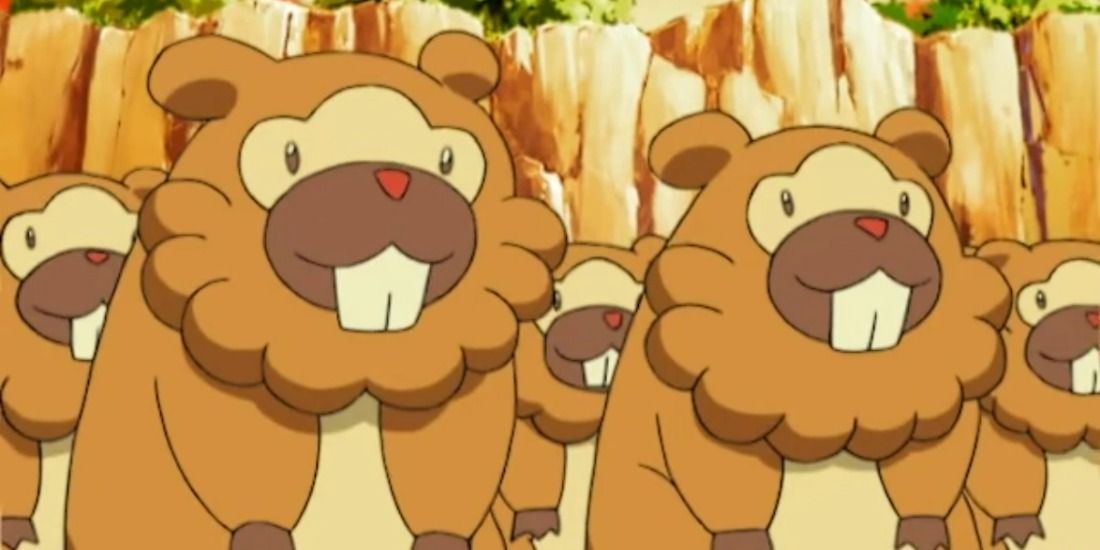 A swarm of innocent Bidoofs ready to take a hit in the Pokemon anime