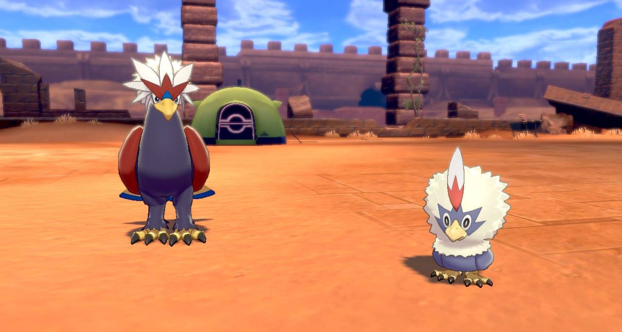 Pokemon Sword And Shield How To Find And Evolve Rufflet Into Braviary