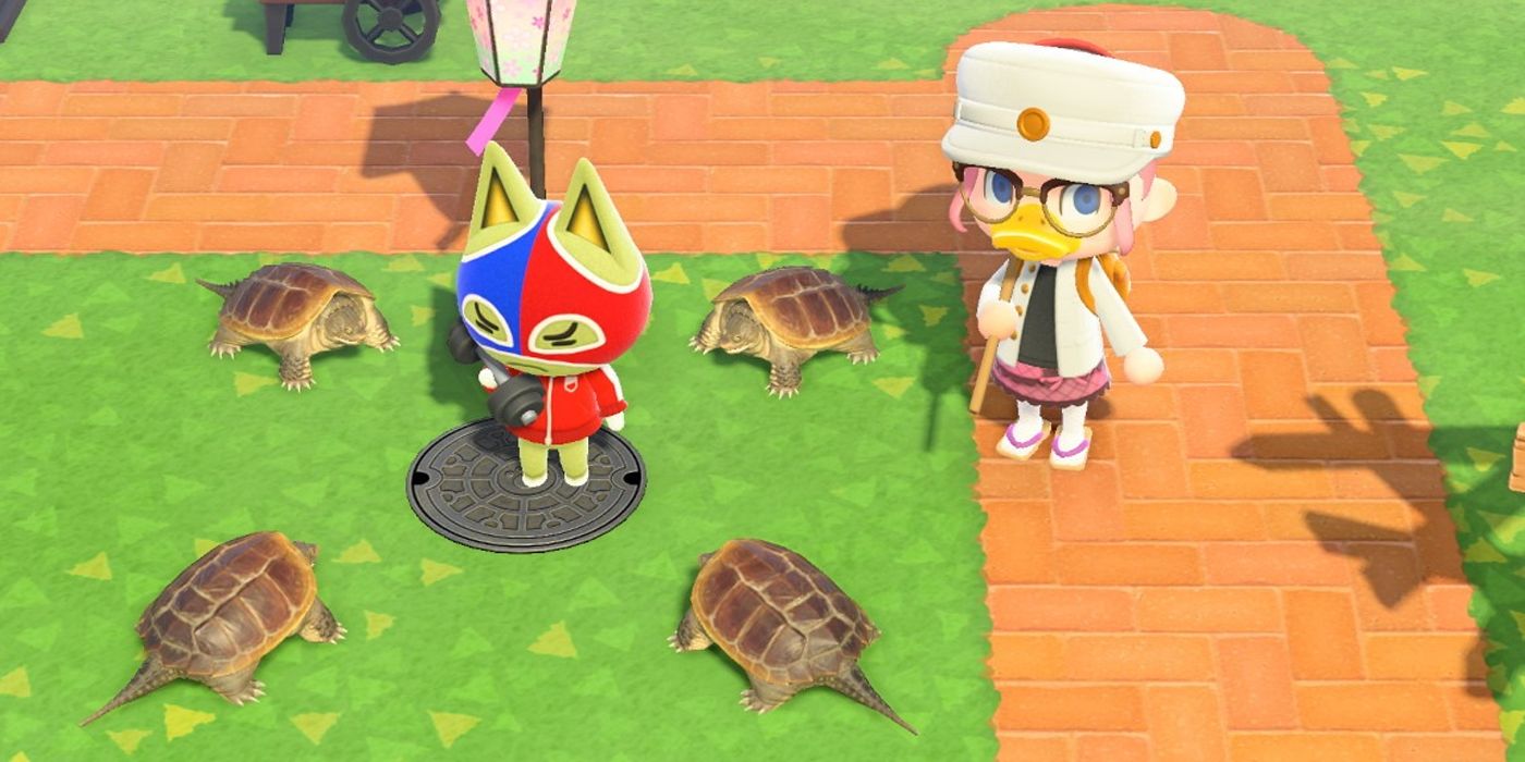 Animal Crossing: The 10 Best Cat Villagers To Get On Your Island, Ranked