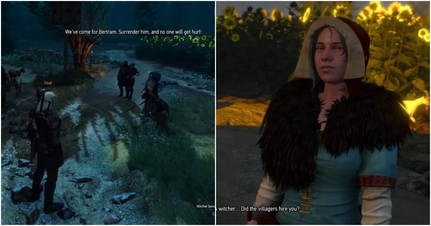 Should You Little Red In The Witcher 3?