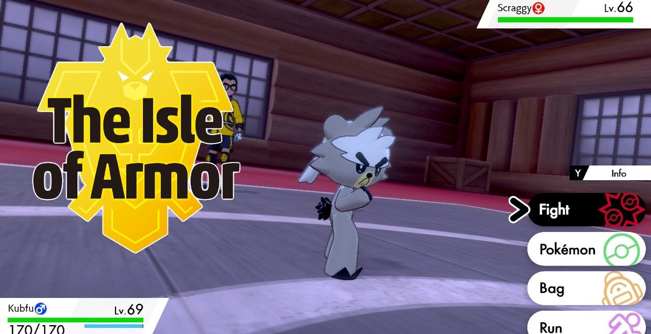 Pokémon Sword & Shield: 10 Pro Tips For The Isle Of Armor You Need