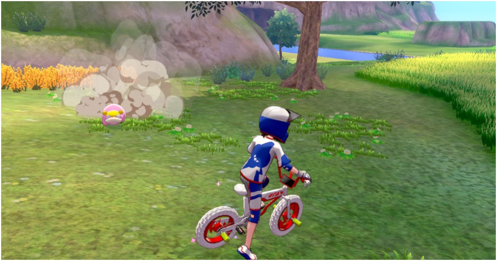 Pokémon Sword & Shield: 10 Things That Make No Sense In The Isle Of Armor  Expansion