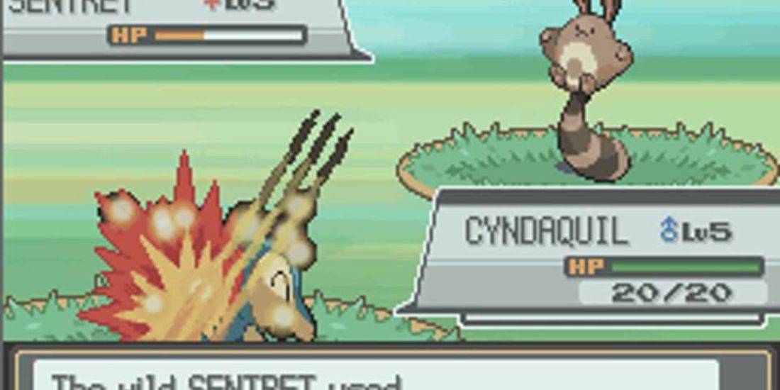 Udsigt ressource gør det fladt Pokémon: The Best Nature For Cyndaquil (& 9 Other Things You Need To Know  About The Pokémon)