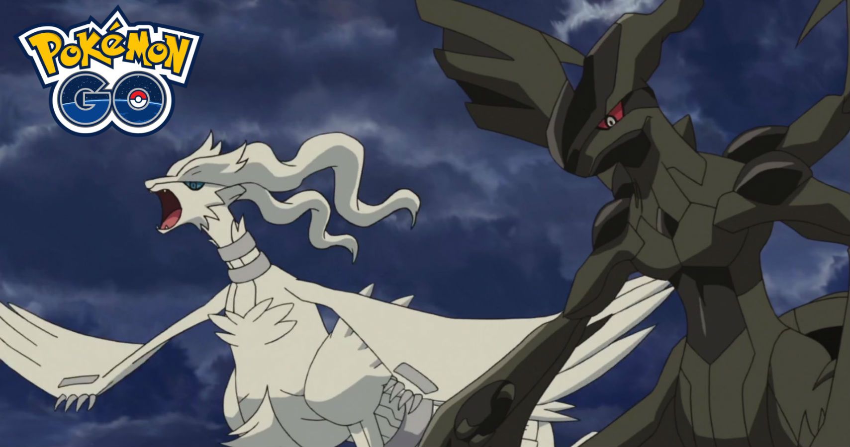 Who will win, Zekrom or Reshiram? - Quora