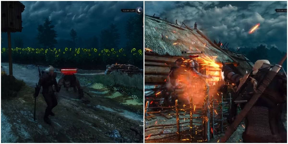 witcher 3 little red choice