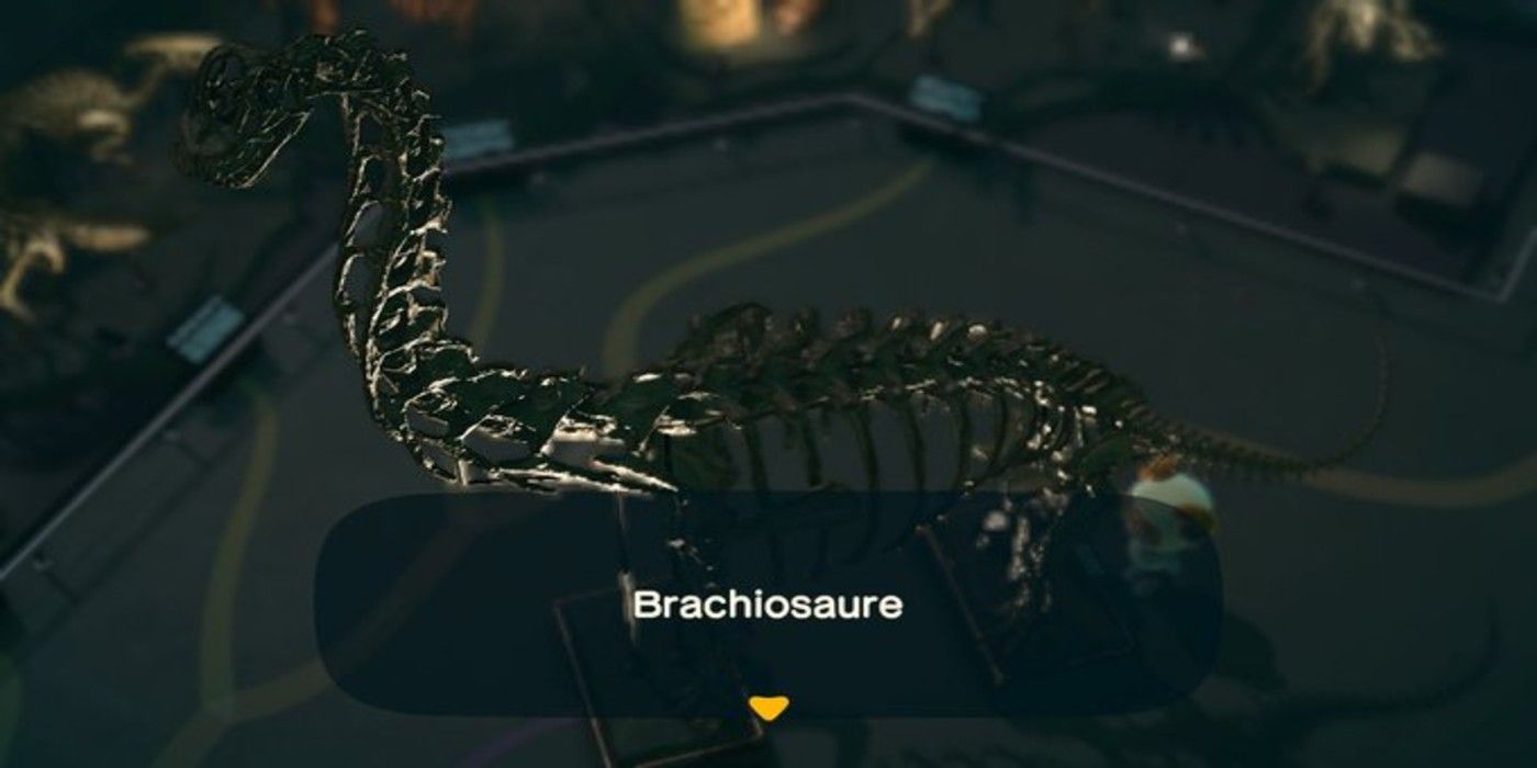 Animal Crossing New Horizons Brachiosaurus Fossil display
