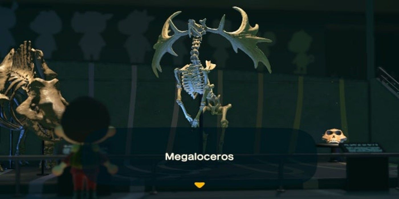 Animal Crossing New Horizons Megaloceros Fossil display
