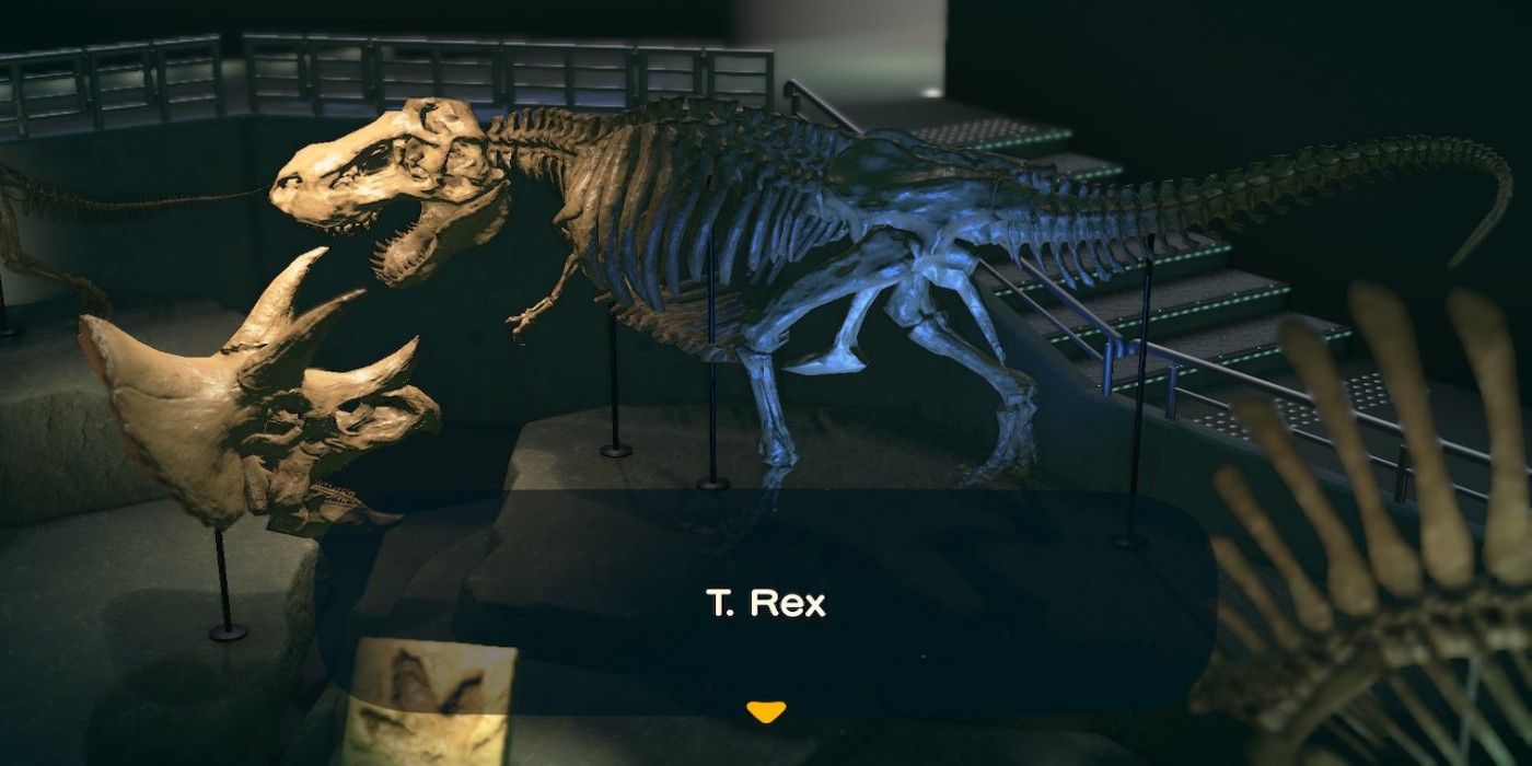 Animal Crossing New Horizons T Rex Fossil display