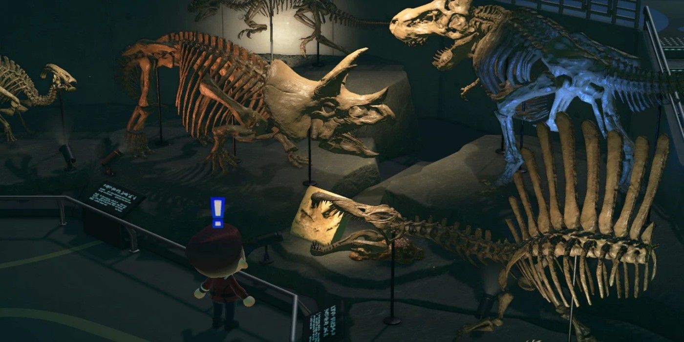 Animal Crossing New Horizons Tricera Fossil display
