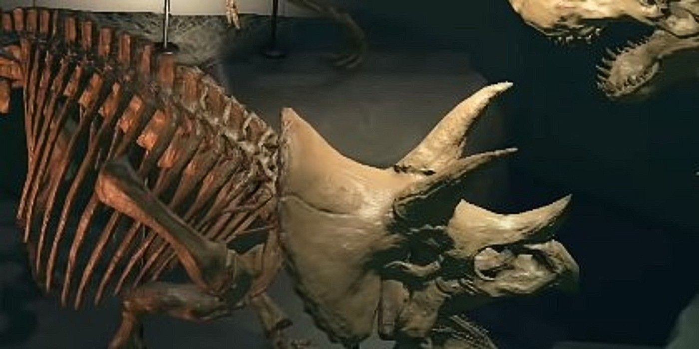 Animal Crossing New Horizons dinosaur Fossils display