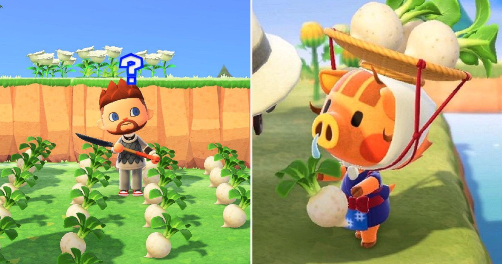 Animal Crossing turnip price calculator, Best turnips price each week