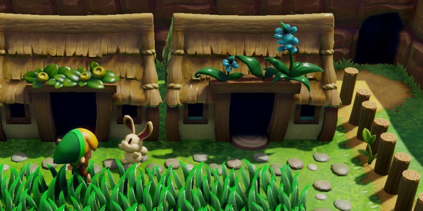 Link speaking with a rabbit in Link's Awakening's Animal Village.