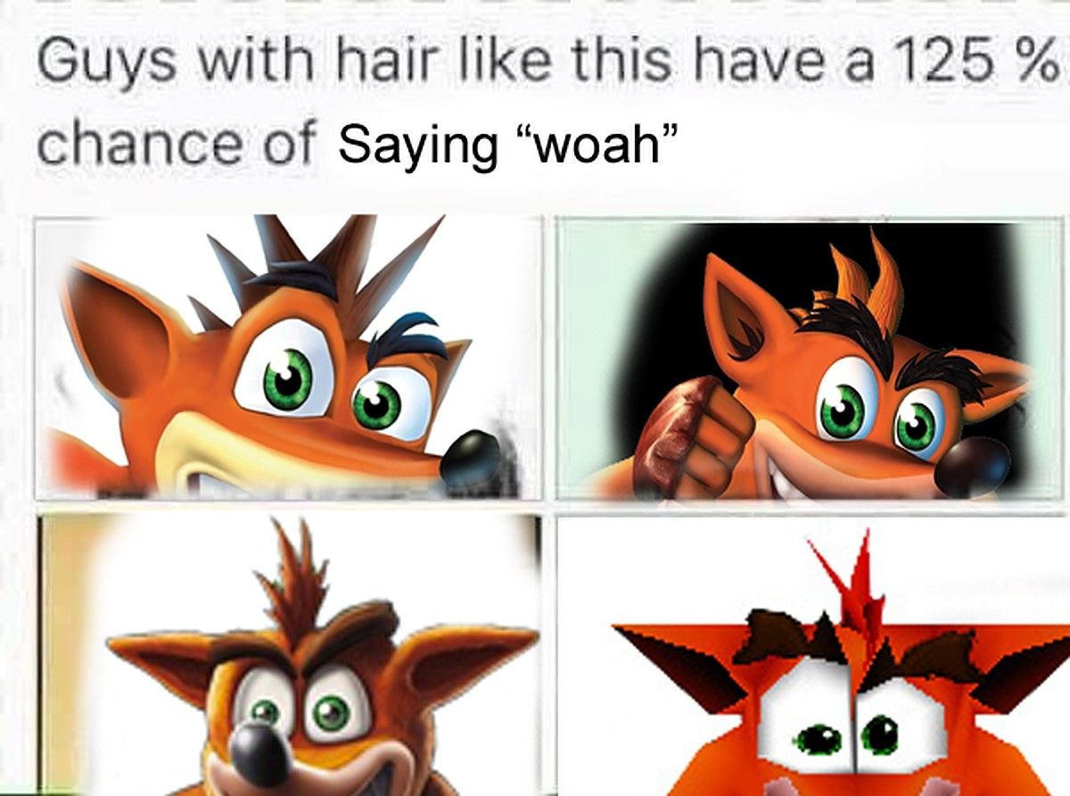 10 Absolutely Hilarious Crash Bandicoot Logic Memes 9472