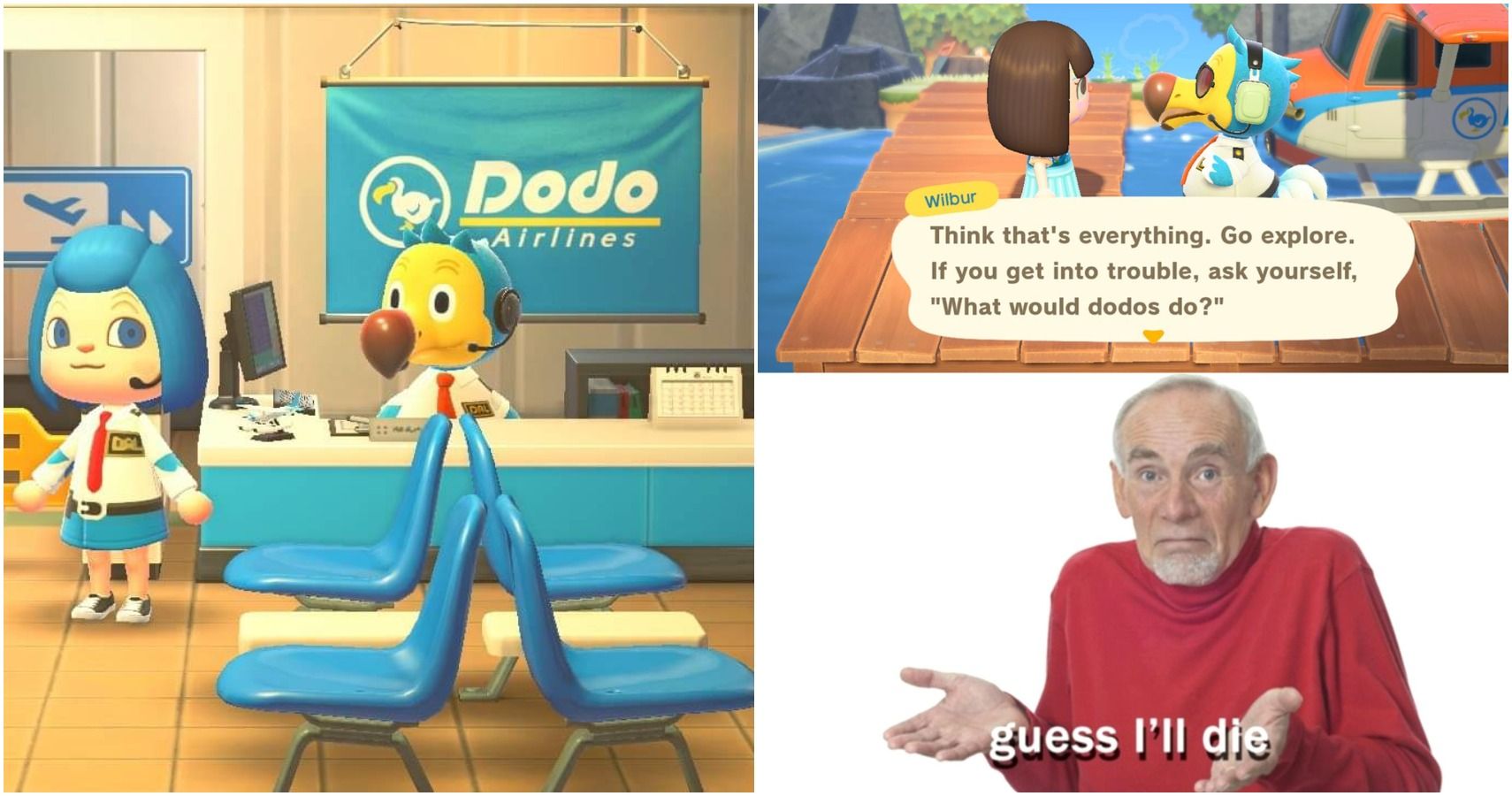 So this was my Dodo Code - AnimalCrossing  Animal crossing fish, Animal  crossing memes, Animal crossing game