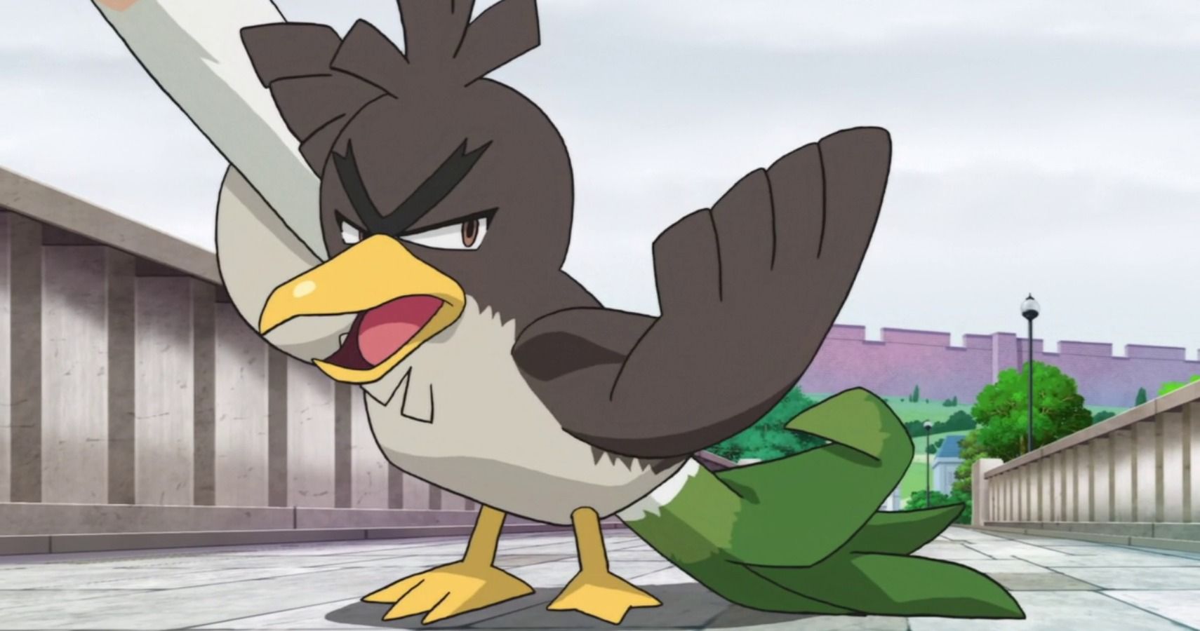 Galarian Farfetch'd  Ash do pokemon, Equipe pokemon, O pokemon