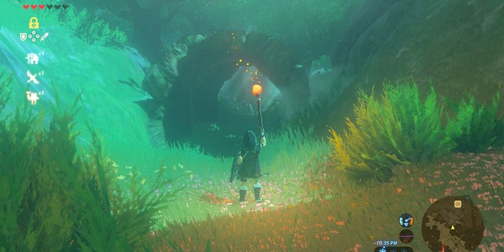 Linking holding a torch at the entrance to Korok forest in BOTW