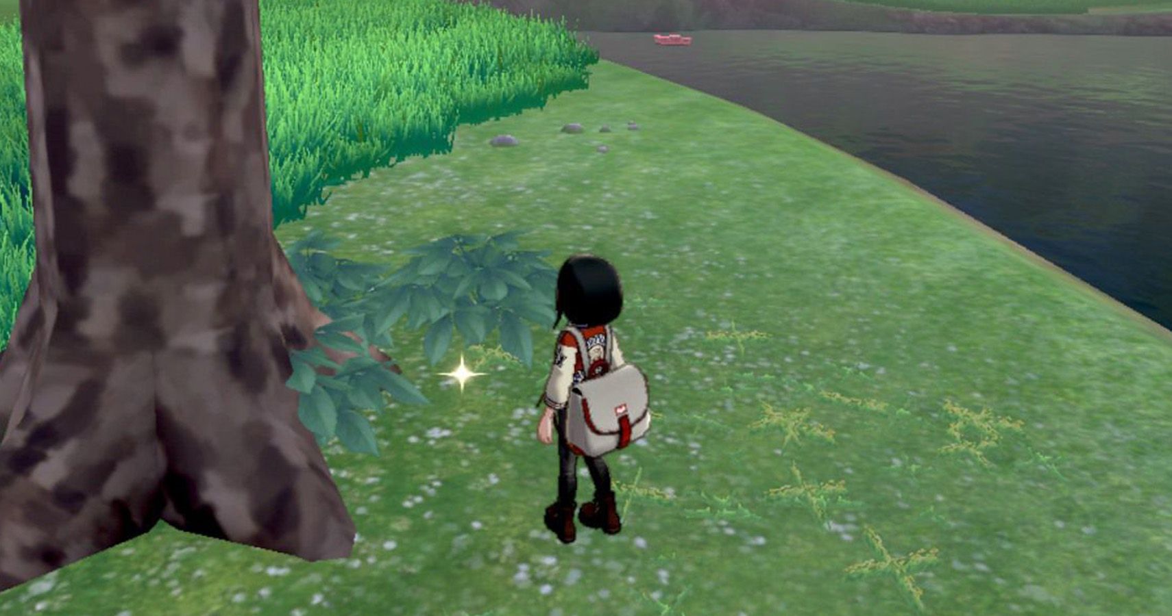 Pokemon Sword and Shield Wild Area guide and every Pokemon to