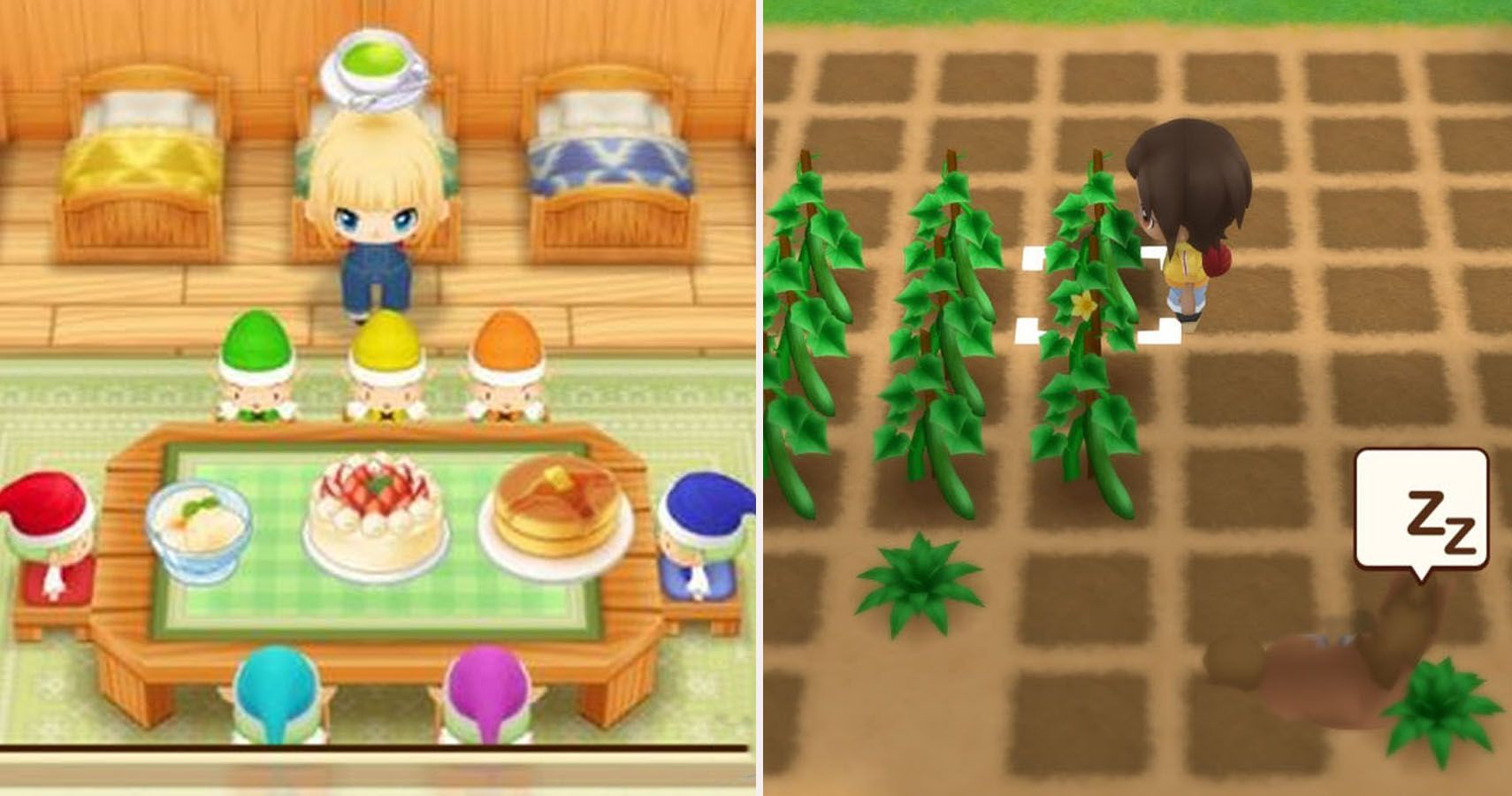 recommendation-tips-about-how-to-cook-in-harvest-moon-friends-of