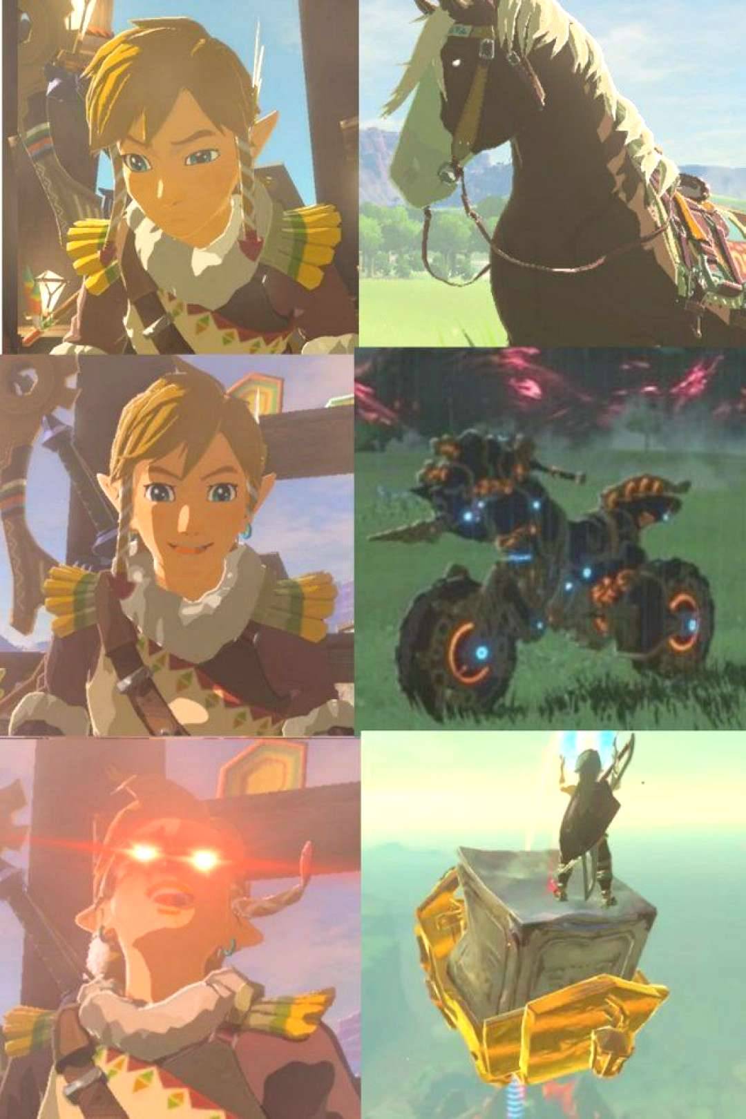 The Legend Of Zelda 10 Breath Of The Wild Link Memes That Are Too Funny The Legend Of Zelda 10 Breath Of The Wild Link Memes That Are Too Funny