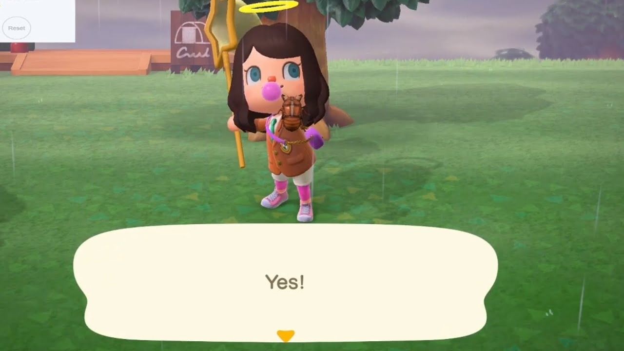 Animal Crossing New Horizons How To Catch A Cicada Shell