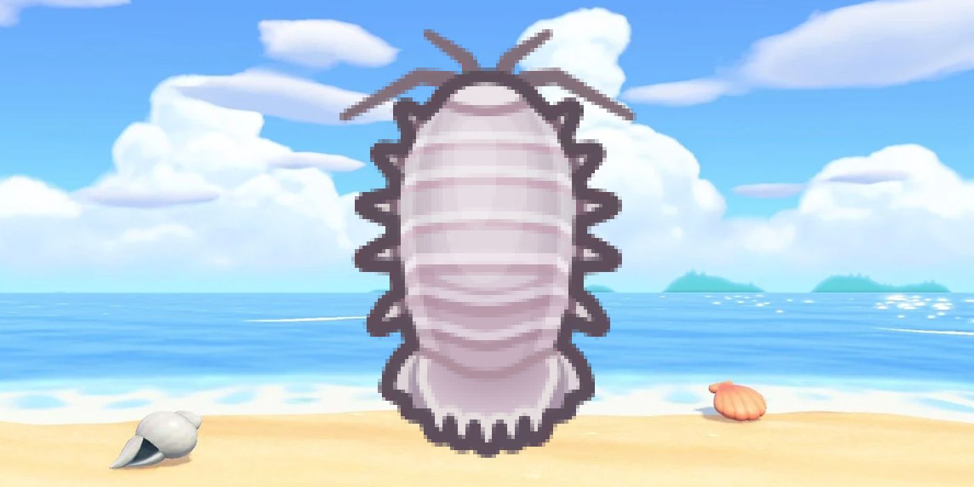 Animal Crossing: The 5 Best New Sea Creatures In New Horizons (& The 5