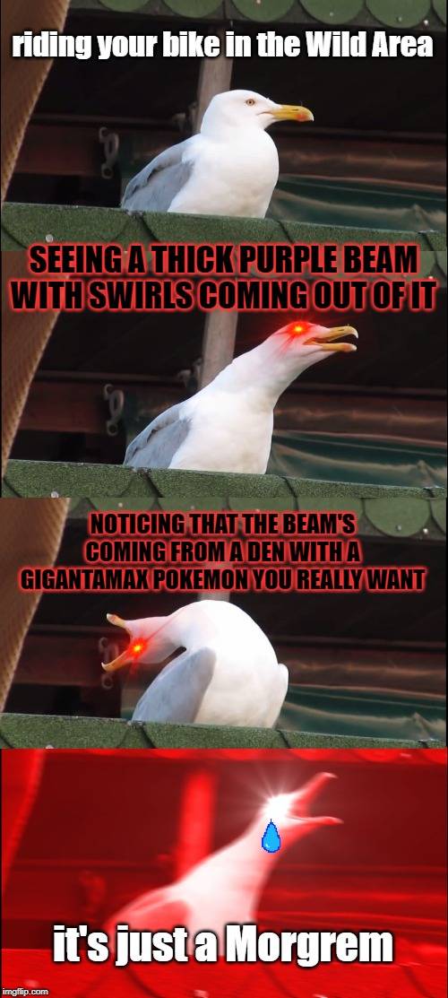 8ao8itrpzul9qm