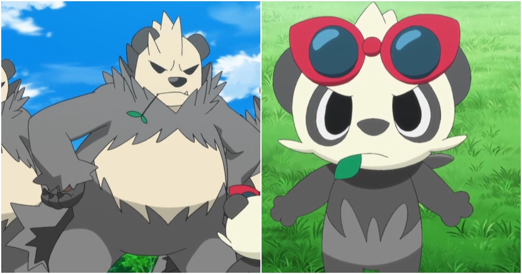 panda pokemon evolution