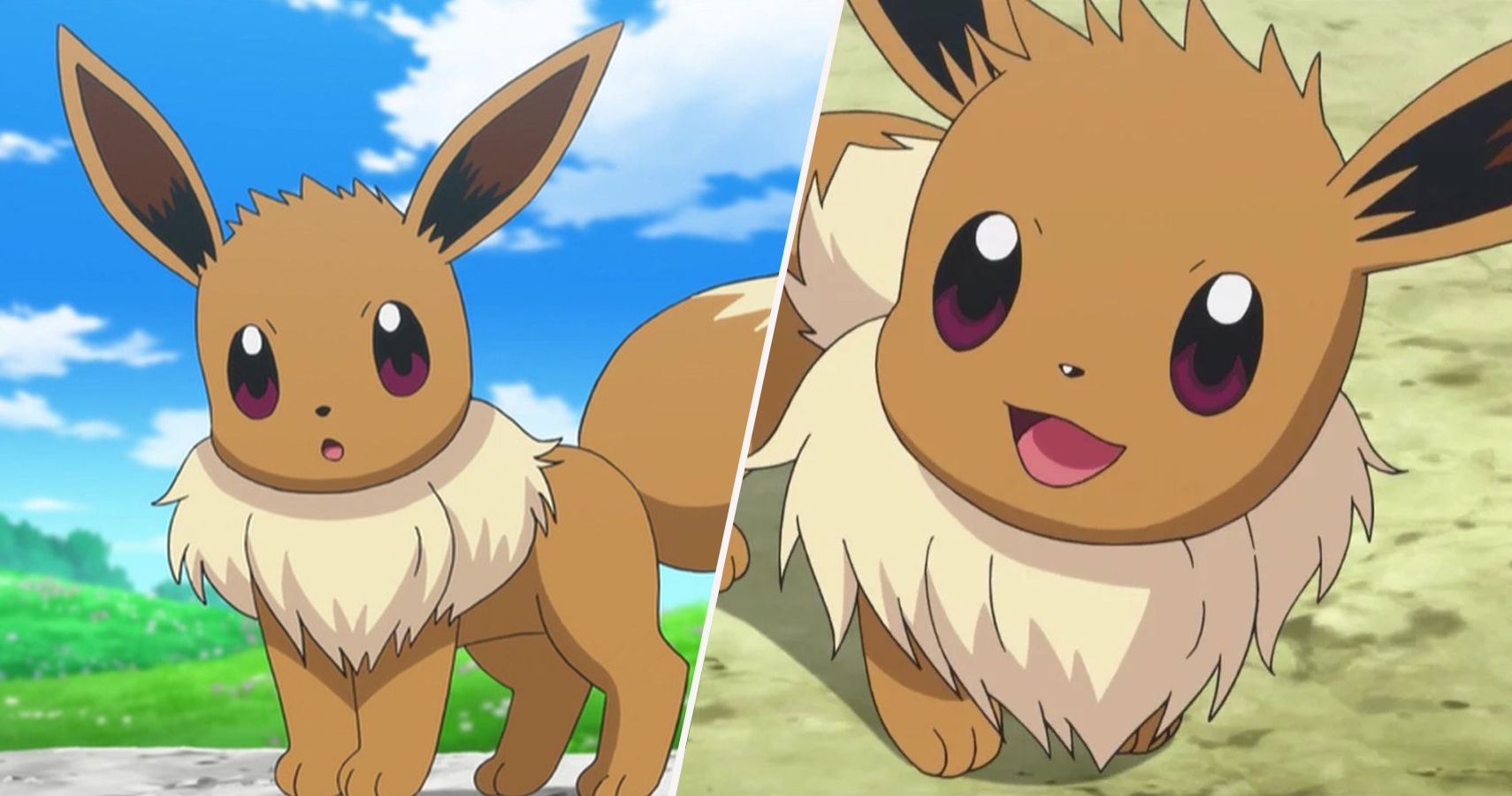 Pokemon Sword & Shield - How to evolve Eevee into ALL 8 Eeveelutions 